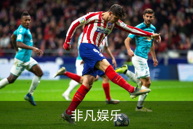 非凡娱乐公司简介